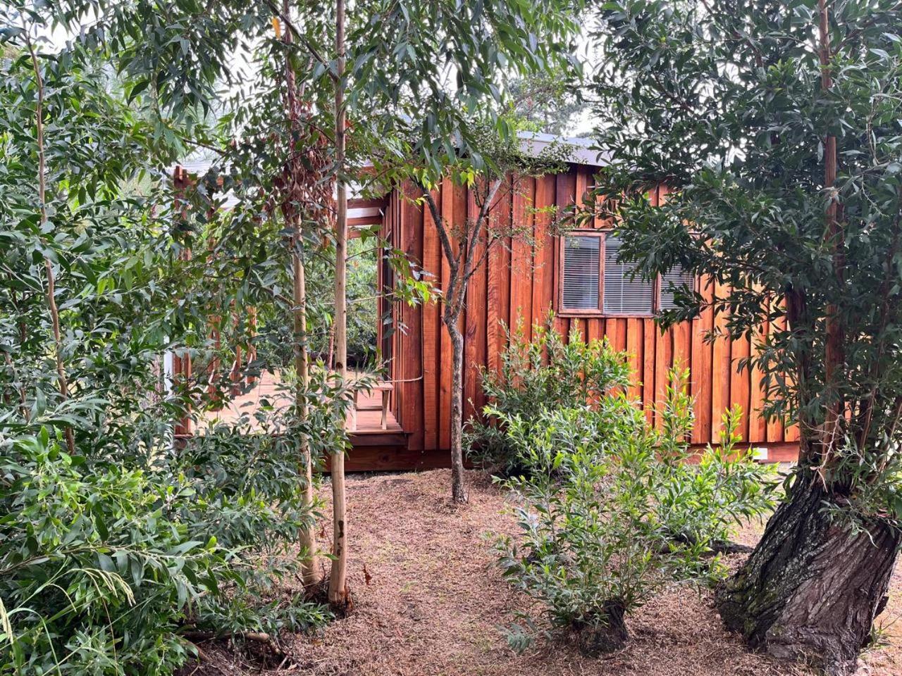 Forest Gate Resort Plettenberg Bay Bagian luar foto