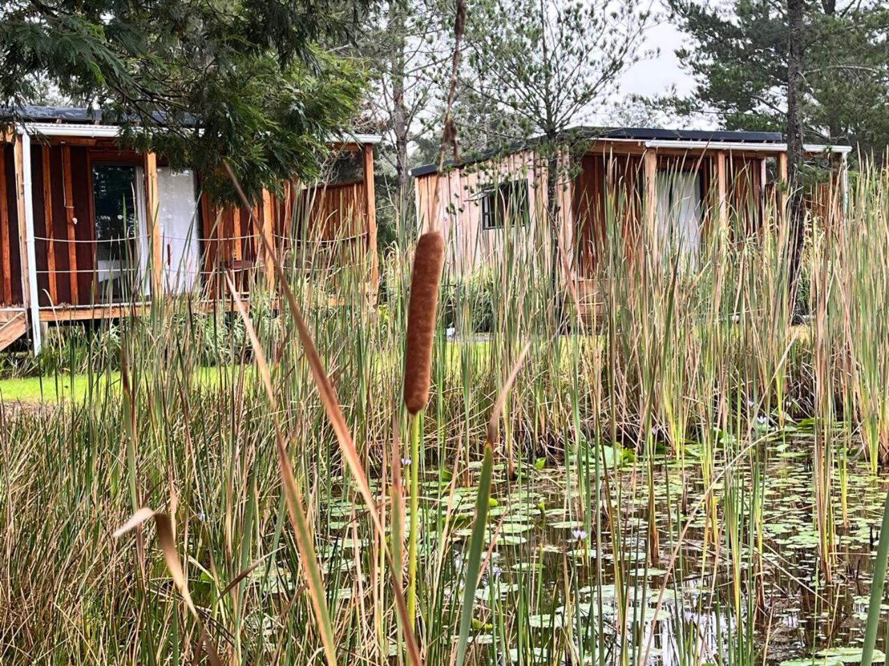 Forest Gate Resort Plettenberg Bay Bagian luar foto