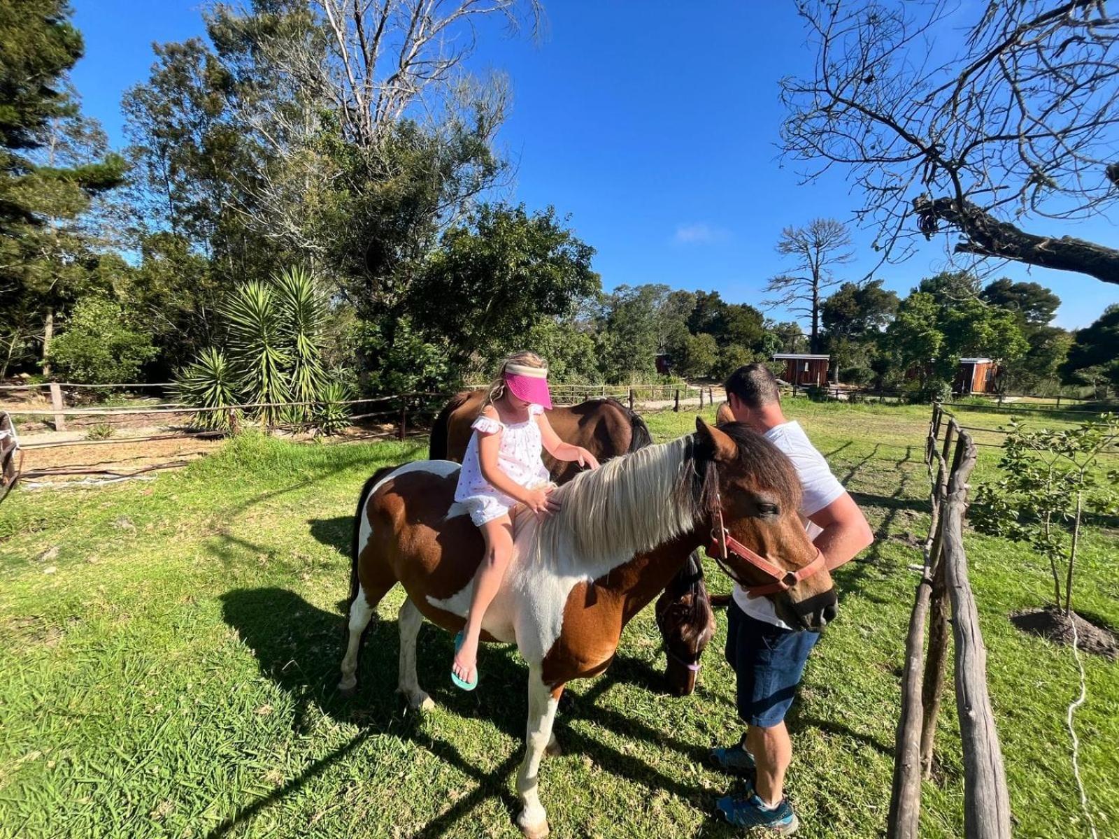 Forest Gate Resort Plettenberg Bay Bagian luar foto