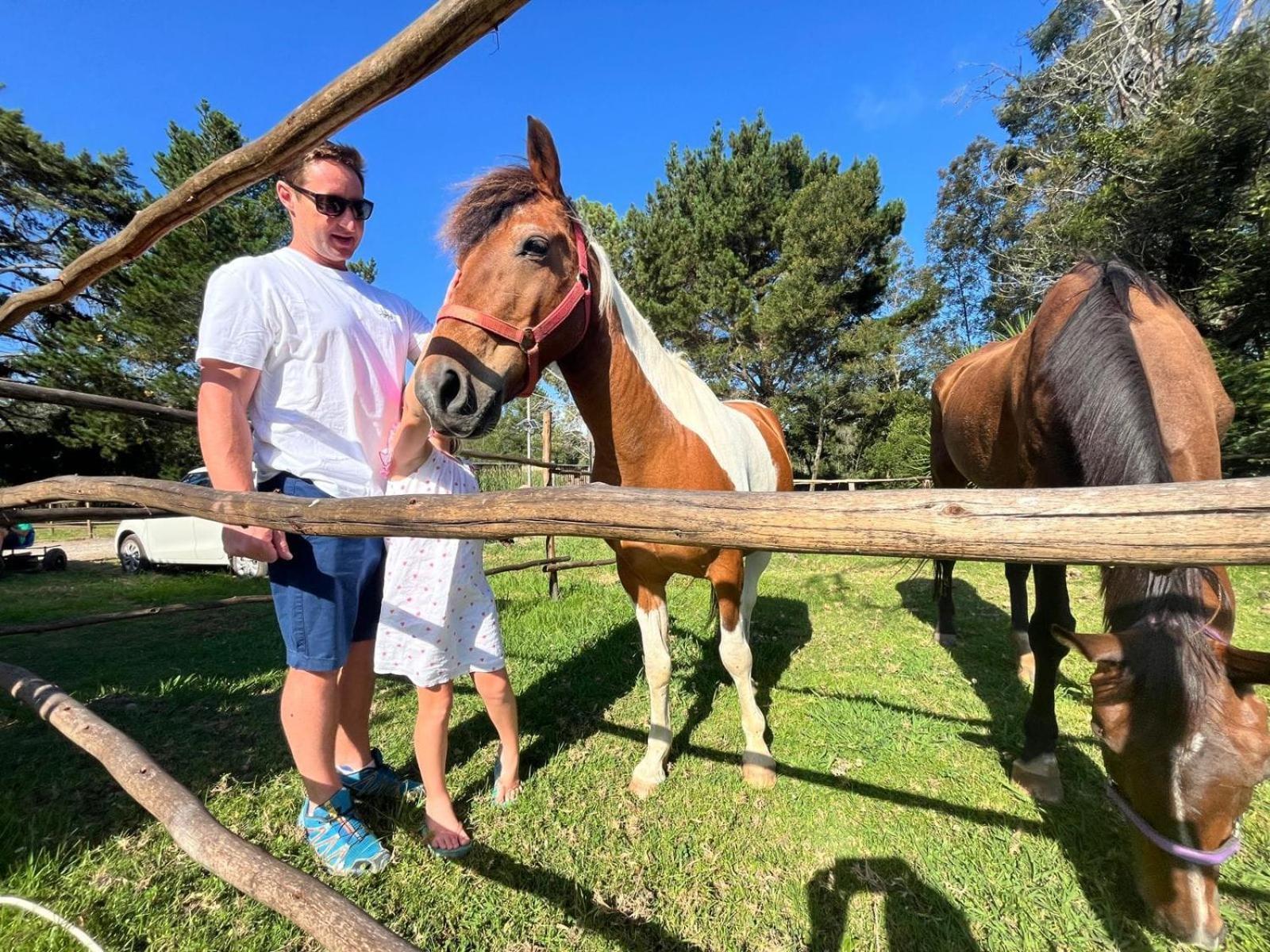 Forest Gate Resort Plettenberg Bay Bagian luar foto